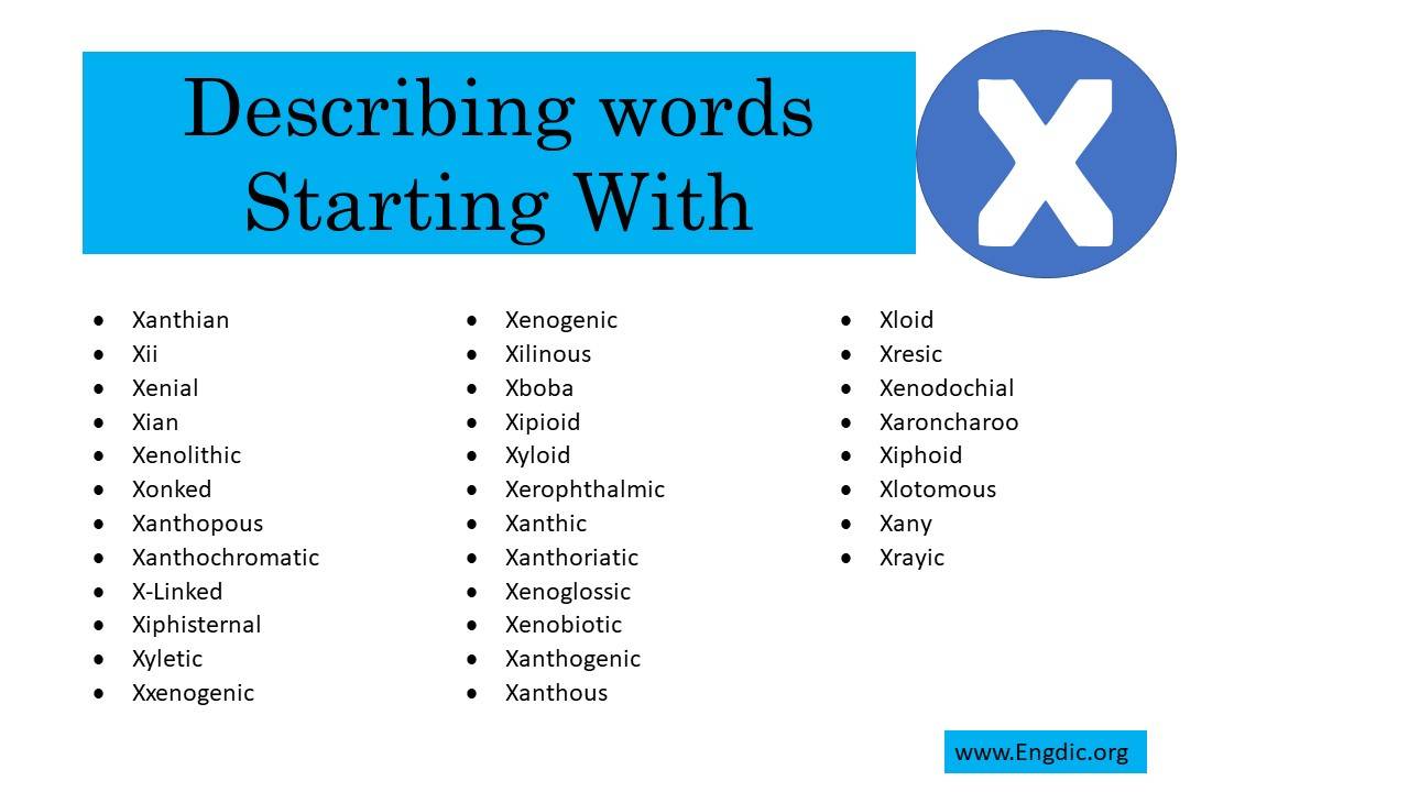 Describing Words That Start With X EngDic