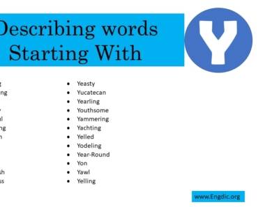 Describing Words That Start With Y