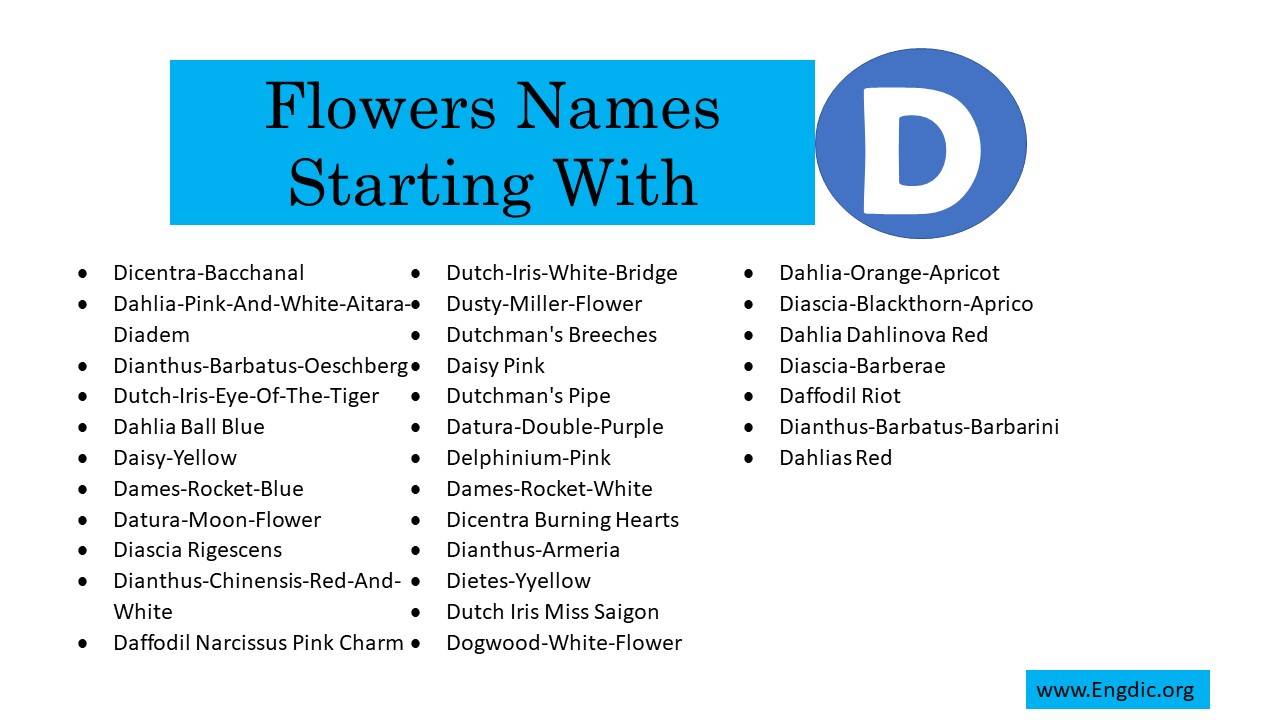 500 Flowers That Start With D (All Color Flowers) - EngDic