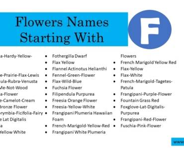 500 Flowers That Start With F (All Color Flowers)