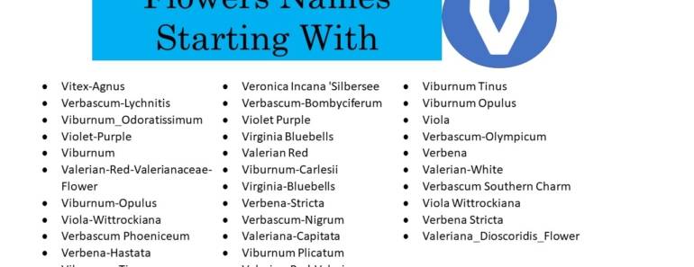 Engdic Page 504 Of 1036 English As A Second Language