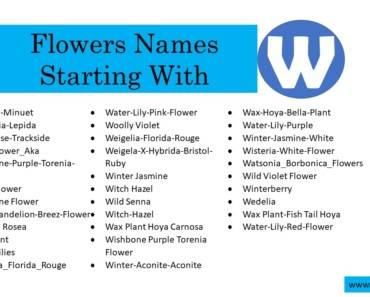 100 Flowers That Start With W