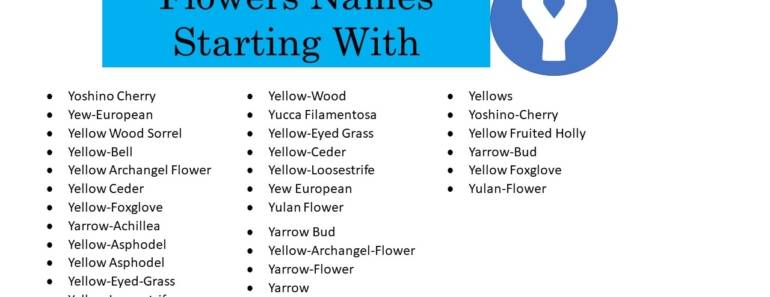 20 Flowers That Start With Y