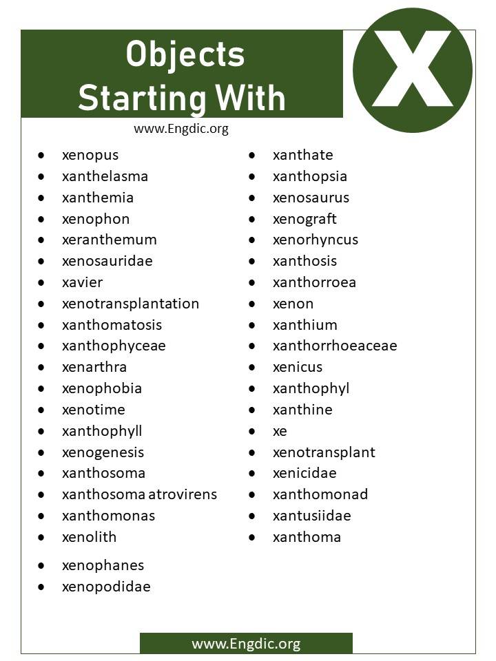 objects that start with X