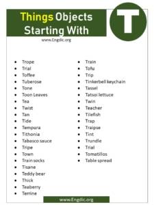 Objects From T List Of Objects That Start With T - EngDic