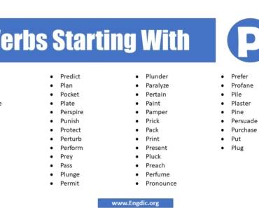 Verbs That Start With P