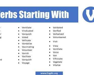 180 Verbs Starting with V (Complete List)