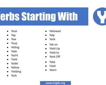 50 Verbs Starting with Y (Complete List)