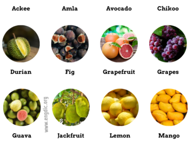 Exotic Fruit Names and Pictures | Exotic Fruits List