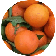Fairchild Tangerine Fruit
