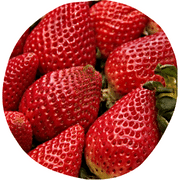 Forest Strawberry Fruit