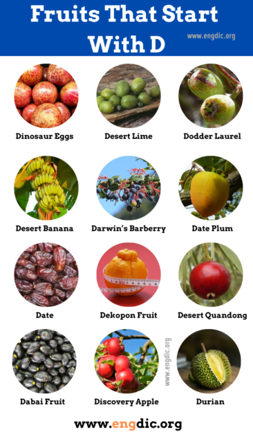 25 Fruits That Start With D Pictures And Properties Engdic 