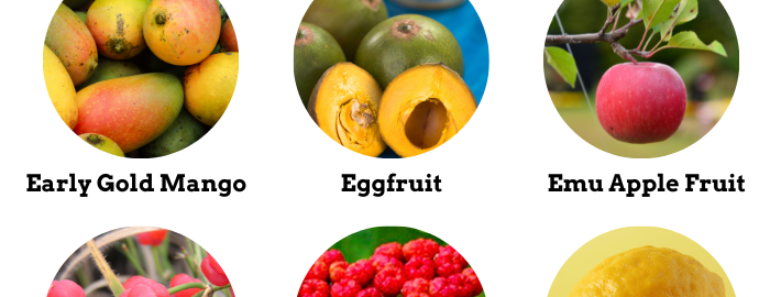 22 Fruits that Start With E (Pictures and Properties)