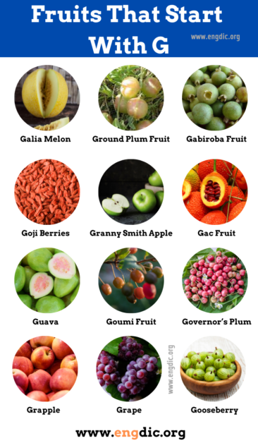 32 Fruits That Start With G Pictures And Properties Engdic 