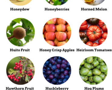 23 Fruits That Start With H (Pictures and Properties)