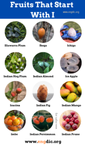 22 Fruits That Start With I (Pictures And Properties) - EngDic