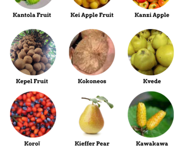 35 Fruits That Start With K (Pictures and Properties)
