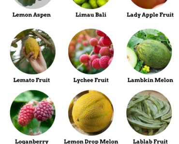 38 Fruits That Start With L (Pictures and Properties)