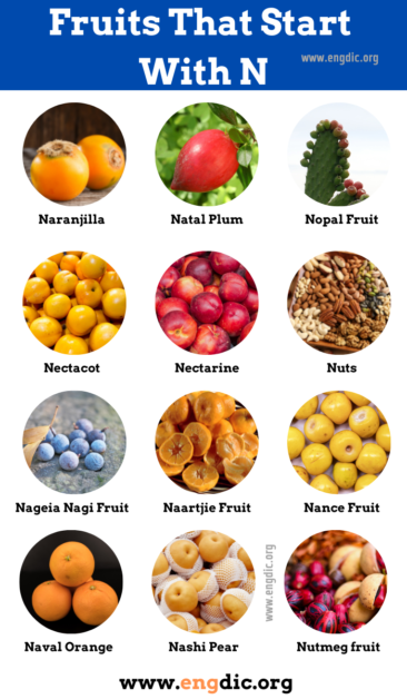 26 Fruits That Start With N Pictures And Properties Engdic 