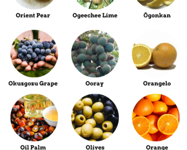 34 Fruits That Start With O (Pictures and Properties)