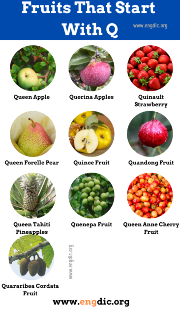 10 Fruits That Start With Q Properties And Pictures Engdic 