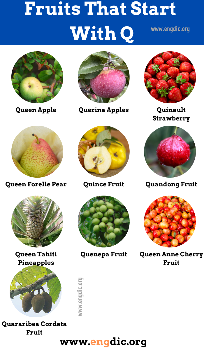 Fruits That Start With q