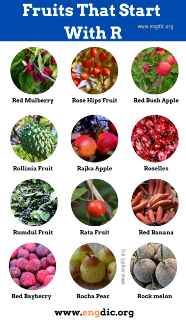 29 Fruits That Start With R Properties And Pictures Engdic 