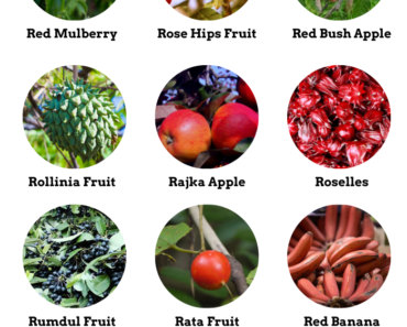 29 Fruits That Start With R (Properties and Pictures)