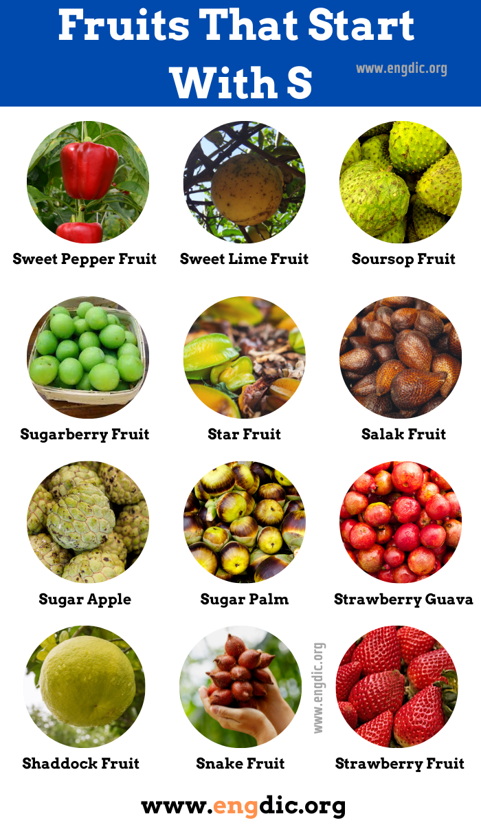 48 Fruits That Start With S Properties And Pictures Engdic 