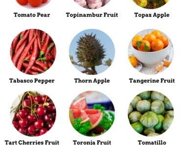 41 Fruits That Start With T (Properties and Pictures)