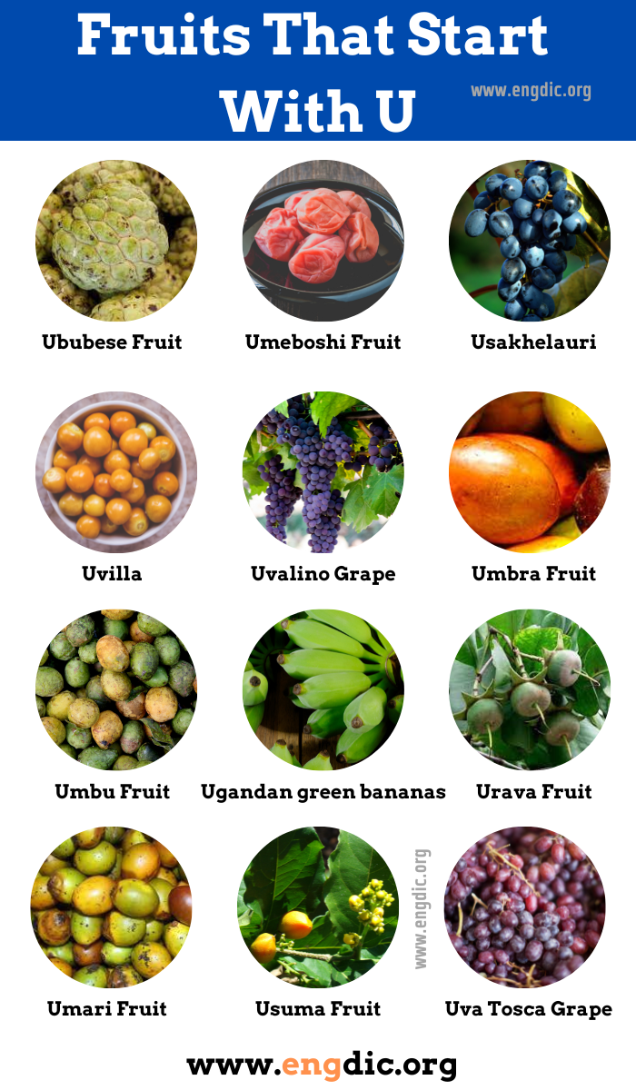 Fruits That Start With u