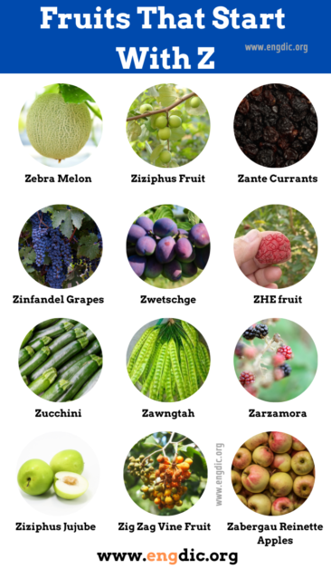 15 Fruits That Start With Z Pictures And Properties Engdic 