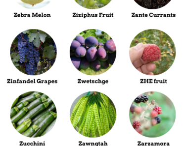 15 Fruits That Start With Z (Pictures and Properties)