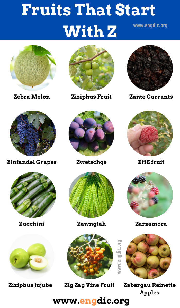 15 Fruits That Start With Z (Pictures and Properties) - EngDic