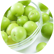 Greengage Fruit