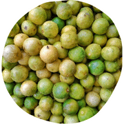 Lapsi Fruit