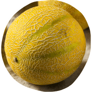 Lemon Drop Melon