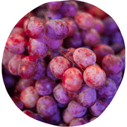 Merlot Grape