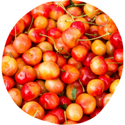 Queen Anne Cherry Fruit