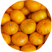Tangor Fruit