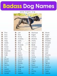 200+ Badass Dog Names (Male, Female) Gangster, Unique - EngDic