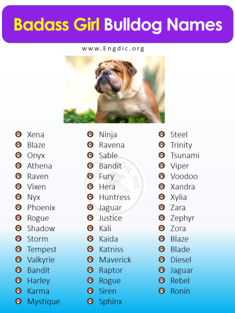 250+ Female Bulldog Names (Unique, Exotic, Funny) - EngDic