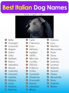 300+ Best Italian Dog Names (Male, Female) - EngDic