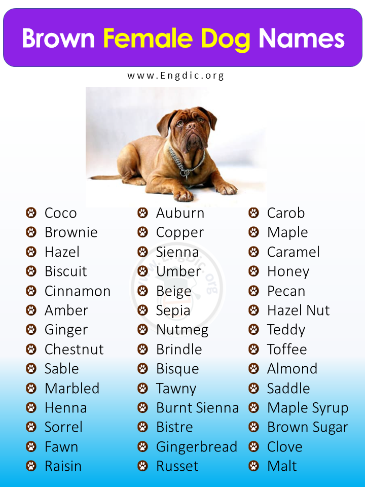 Brown Female Dog Names