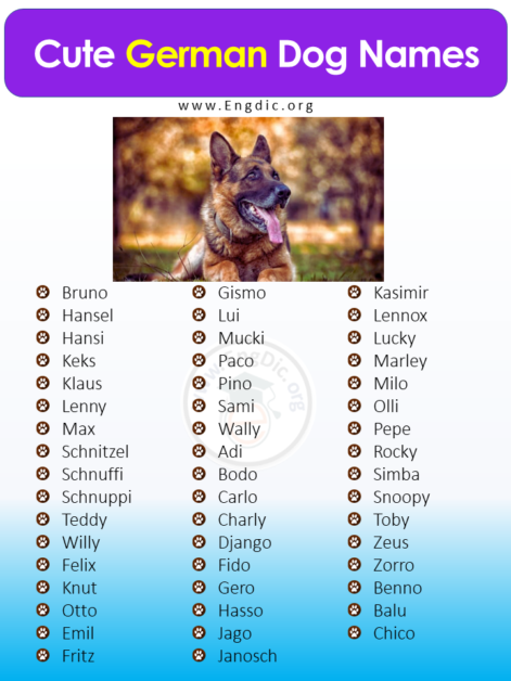 500+ Popular German Dog Names (Pups, Male, Female) - EngDic