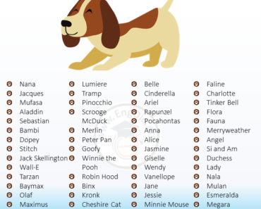 300+ Magical Disney Dog Names (Boy, Girl, Pups)