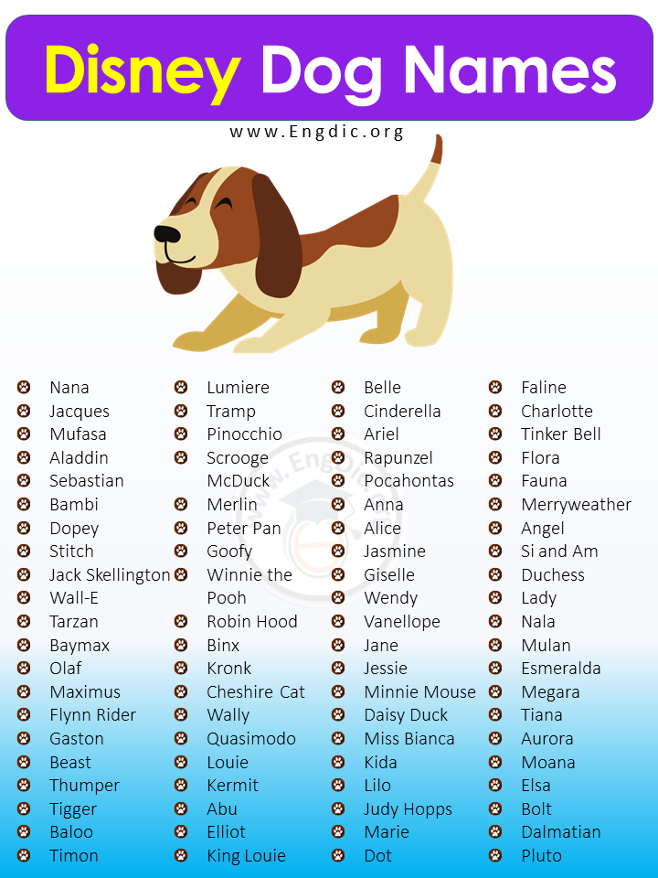 300+ Magical Disney Dog Names (Boy, Girl, Pups) – EngDic