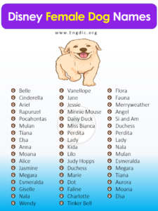 300+ Magical Disney Dog Names (Boy, Girl, Pups) - EngDic