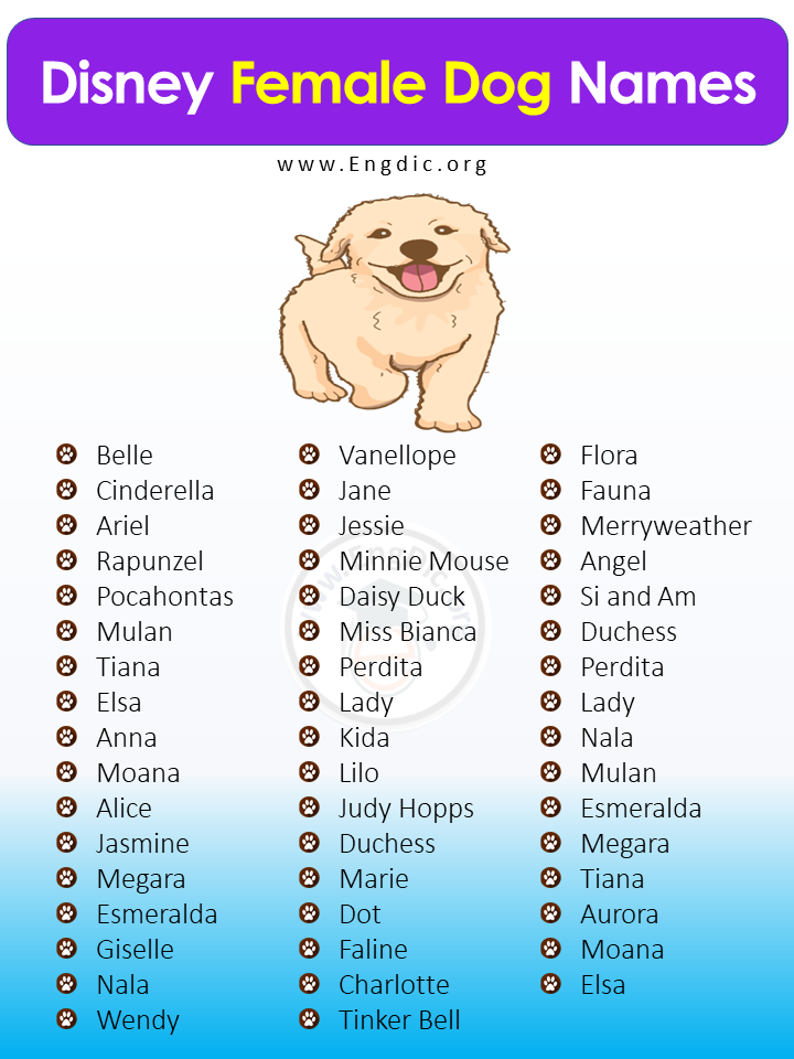 Disney Female Dog Names