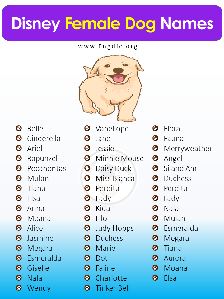 Disney Female Dogs
